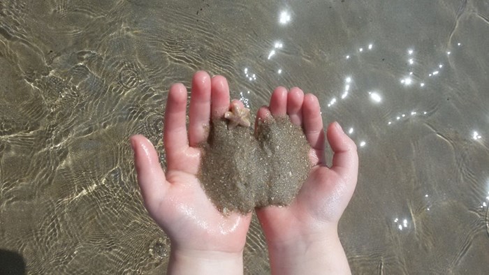 HHNK 2e prijs kleine zeester Castricum aan Zee