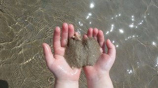 HHNK 2e prijs kleine zeester Castricum aan Zee
