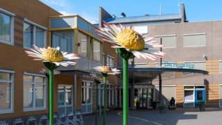 De Hoge Hop Hoorn 03