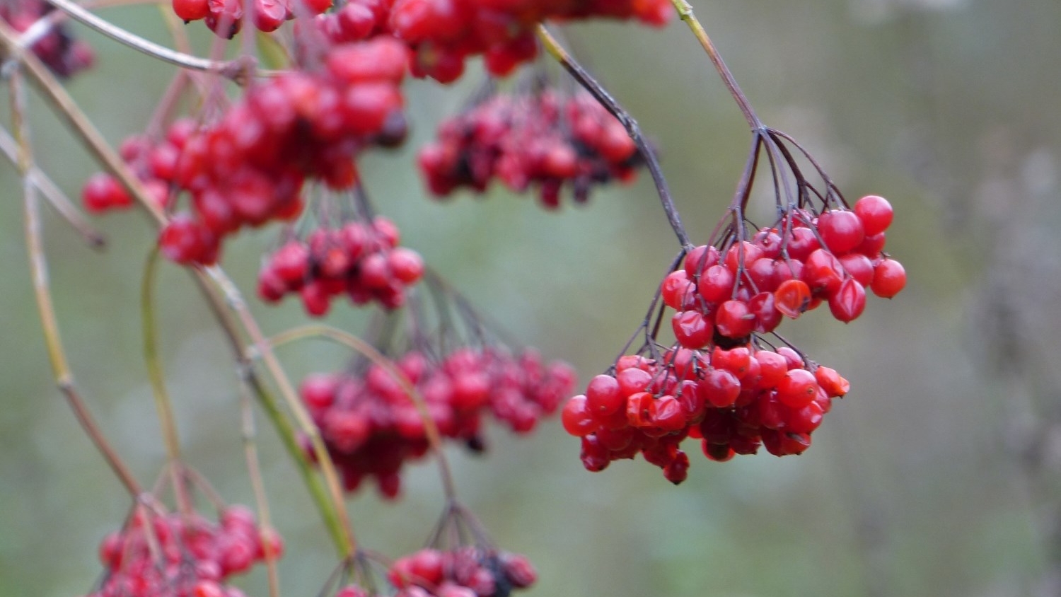 Herfstwandelen door het Zanddepot