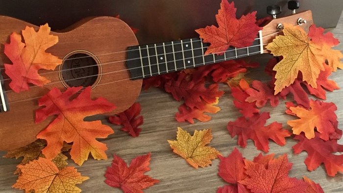 Muziek op schoot in de Witte Schuur