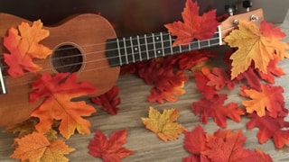 Muziek op schoot in de Witte Schuur