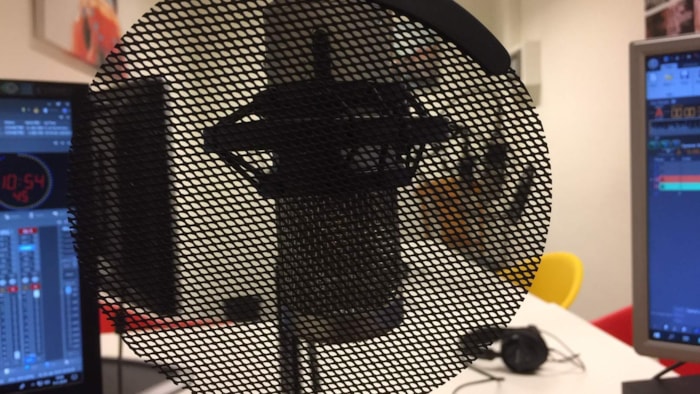 Studio De Kreek microfoon