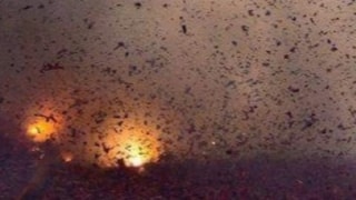 Bom ontploft in de nacht