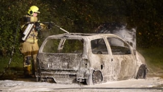 Autobrand Pelmolrnpad