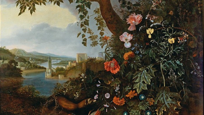 Mathias Withoos - Sottobosco