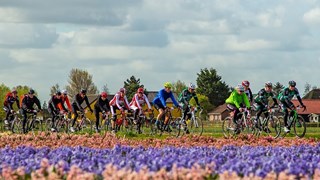 Ronde van NH met bloemen