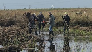 Groene vrijwilligers natuurwerkdag 2019