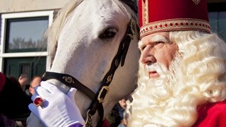 Sinterklaas met paard