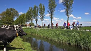 Fiets4Daagse Hoorn langs de koeien