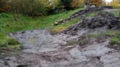 Natuurspeeltuin