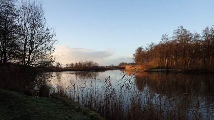 Streekbos 22-12-2019