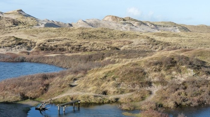 Duinen