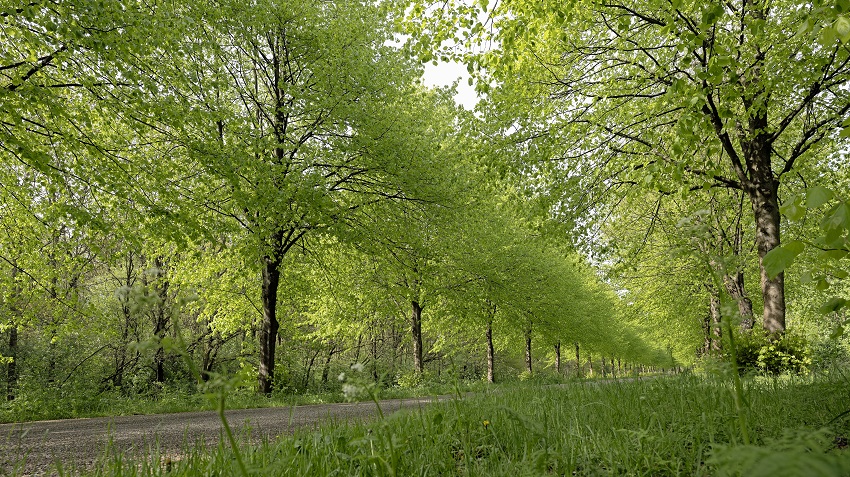 Vergoeding afkoop oude pacht in natuurnetwerk
