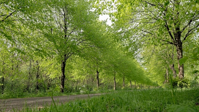 Natuurnetwerk Nederland Noordholland