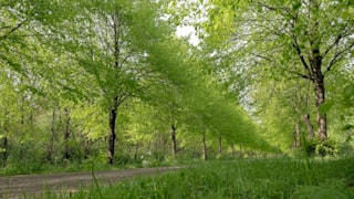 Natuurnetwerk Nederland Noordholland