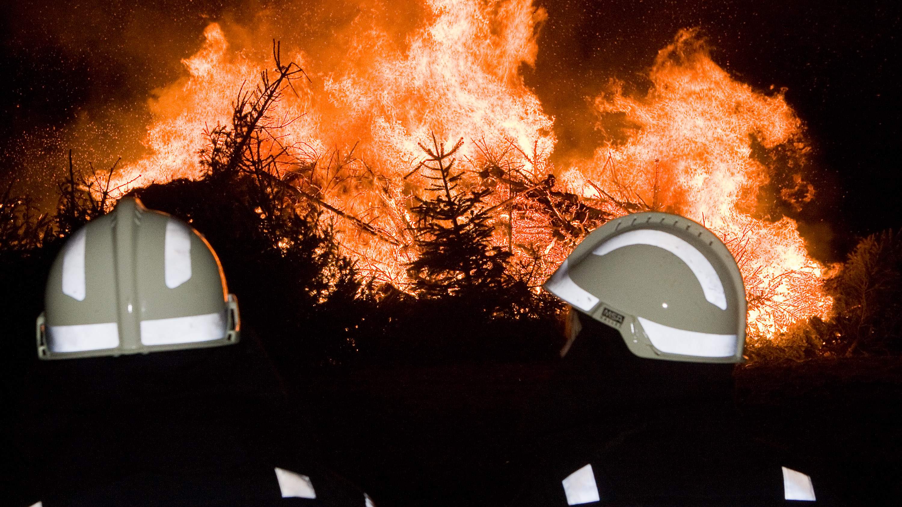 Laat je Kerstboom versnipperen of verbranden