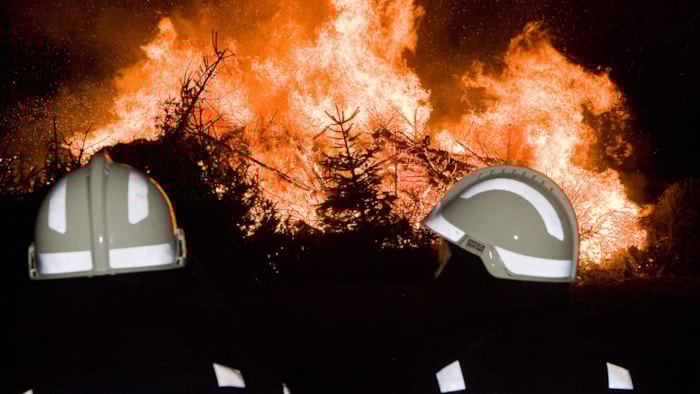 Kerstboomverbranding