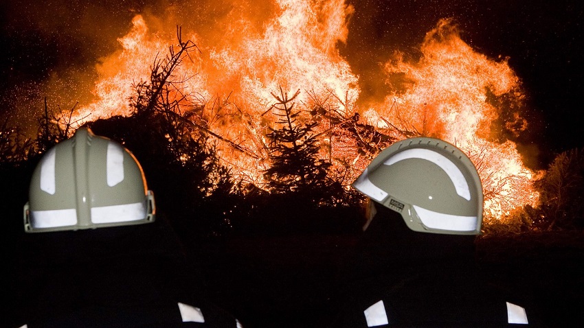 In 2021 duurzamer alternatief voor kerstboomverbranding  