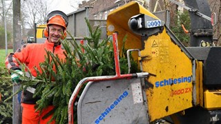 Kerstboom wordt versnipperd