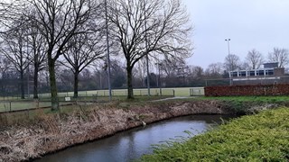 Hockeyvelden Nieuwe Steen met kleedruimte