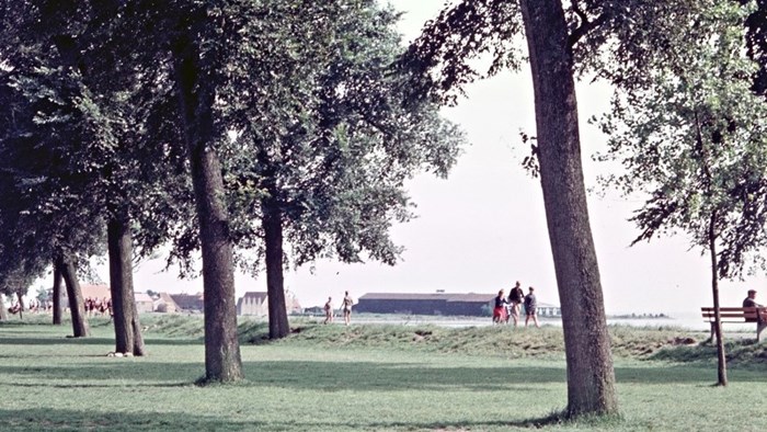 Westerdijk jaren &#39;60