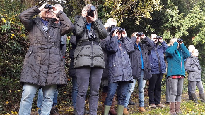 Vogels spotten