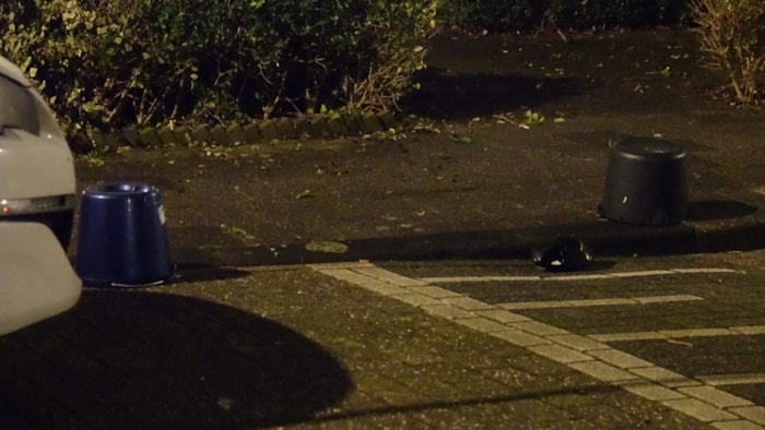 Steekpartij in Bovenkarspel3