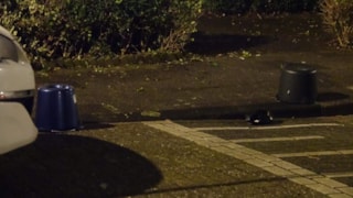 Steekpartij in Bovenkarspel3