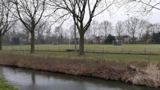 Hockeyvelden Nieuwe Steen