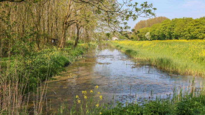 Lente - Foto Peter van der Sluijs