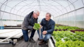 Proeftuin Zwaagdijk