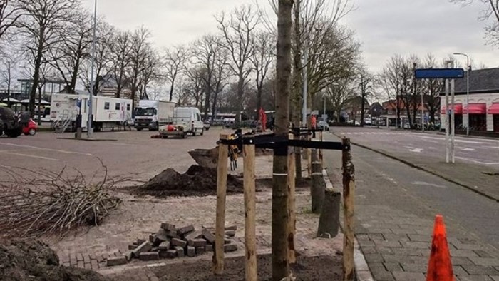 Bomenplant Noorderveemarkt