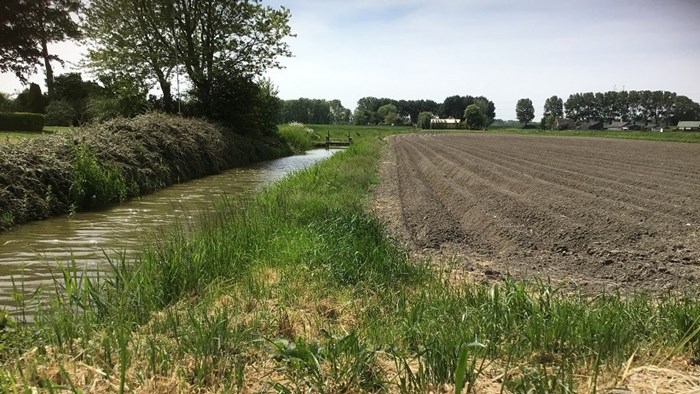 Voorbeeld van juiste teeltvrije zone