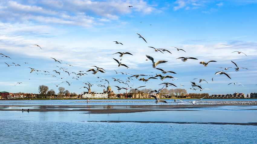 Contact tussen bewoners en ondernemers langs de dijk