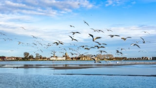 Hoornse Hop - aanleg oeverdijk - januarai 2020