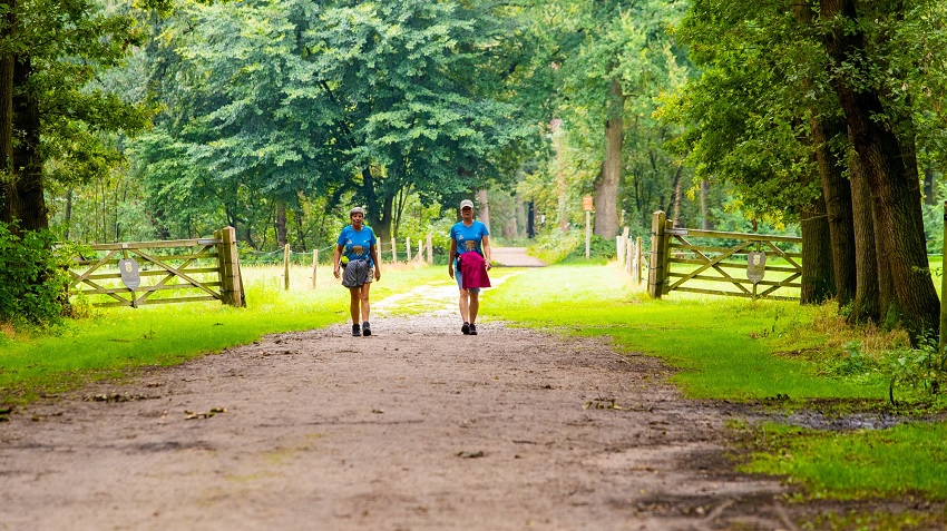 Maatregelen kabinet dagen Sportorganisatie Le Champion uit creatief te zijn