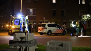 Steekpartij aan de Vijzelmolen