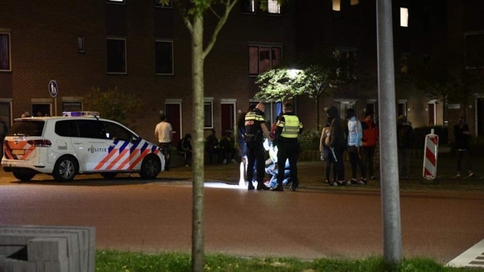 Steekpartij aan de Vijzelmolen1