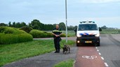 Sporenonderzoek met behulp van een speurhond