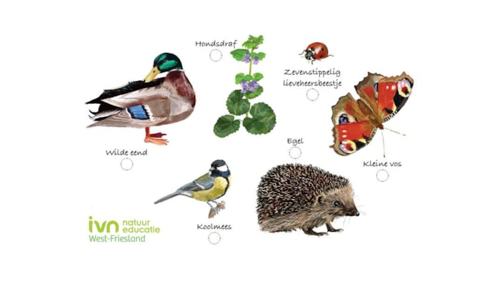 IVN Weekopdrachten compilatiie
