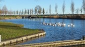 Flevo kanovereniging op water2