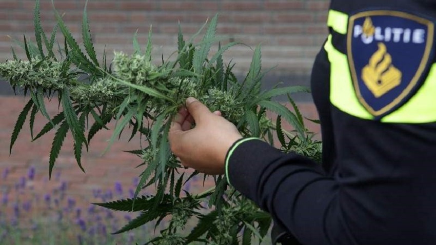 Burgemeester sluit drugspand aan De Corantijn