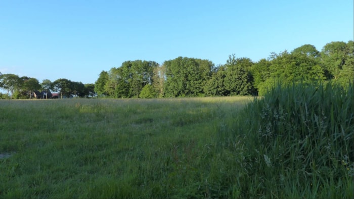 Toekomstig Voedselbos