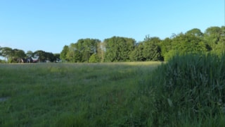 Toekomstig Voedselbos