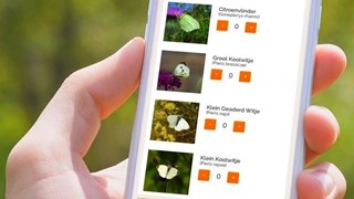 Tellen met de app Vlindermee