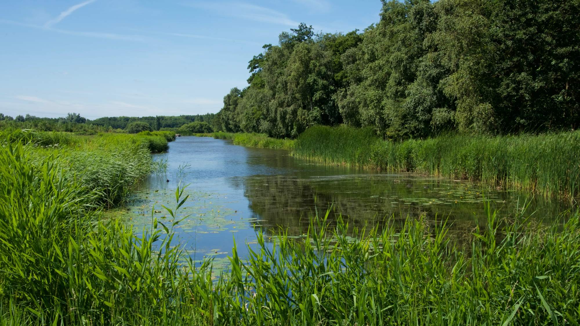 Vroege vogelvaartocht