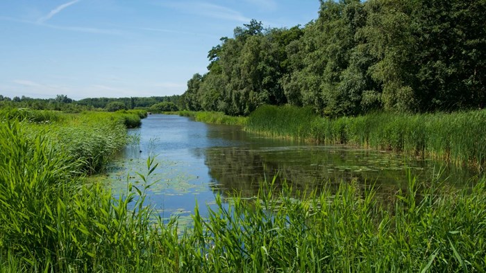 De Weelen Bob Legro 19-7-20