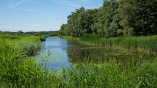 De Weelen Bob Legro 19-7-20