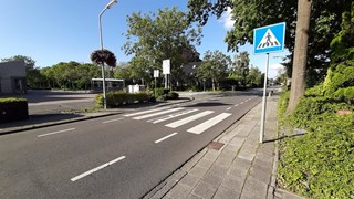 Zebrapad bij Aldi in Blokker